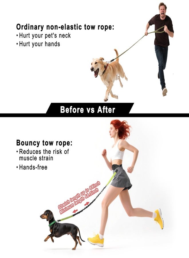Frayot Hands Free Dog Leash with Zipper Pouch,Reflective Dual Handles Retractable Bungee Waist Leash for Small and Medium Dog Walking, Jogging (Black) - Image 2
